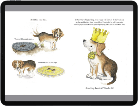 Outsource KF8 Conversion Services Convert EPUB to MOBI